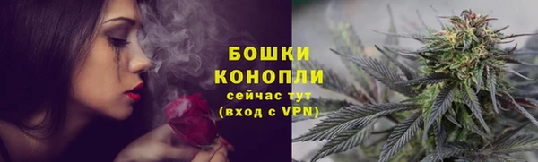 дживик Дмитриев