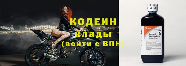 дживик Дмитриев