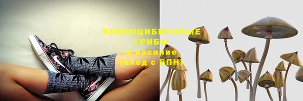 MDMA Premium VHQ Гусиноозёрск