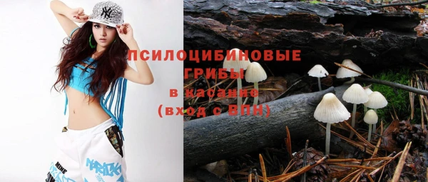 а пвп мука Гусев