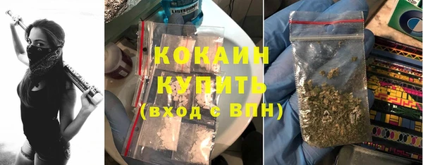 дживик Дмитриев