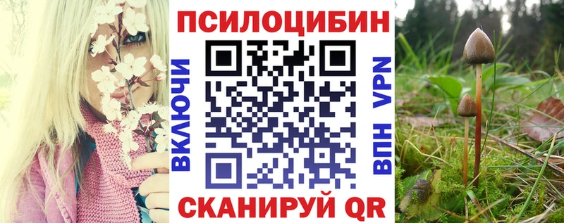 Галлюциногенные грибы Cubensis  МЕГА   Озёрск 