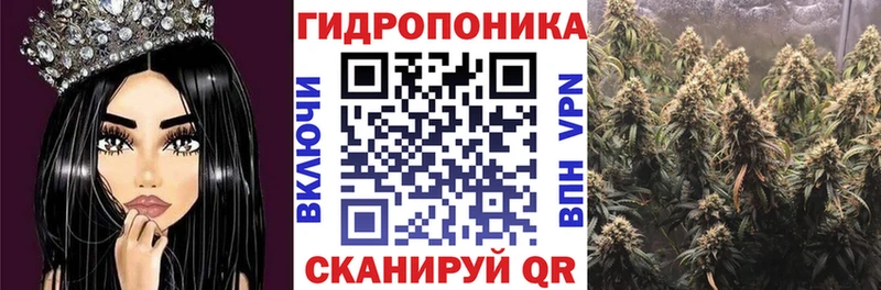 Шишки марихуана Amnesia  blacksprut сайт  Озёрск  как найти закладки 